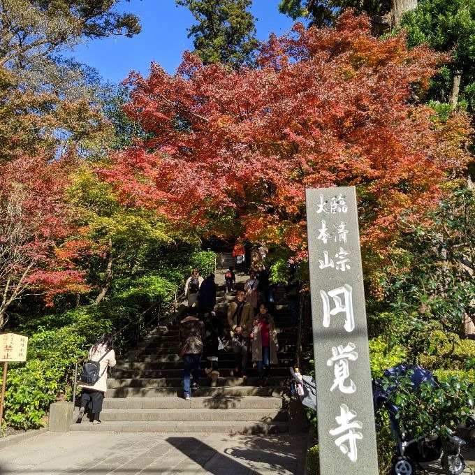 秋の円覚寺総門の紅葉