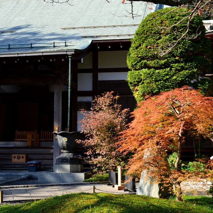 鎌倉 竹林 報国寺の釈迦堂の前の紅葉