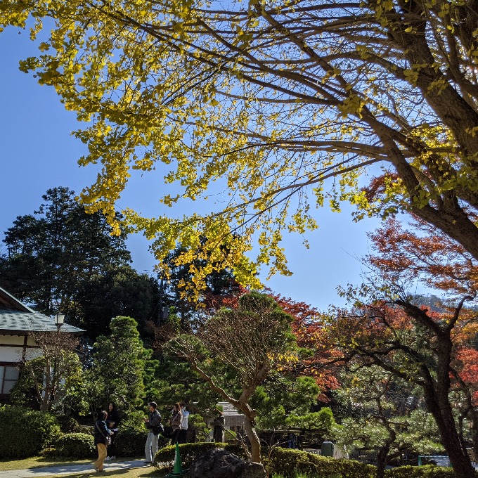 紅葉の浄妙寺