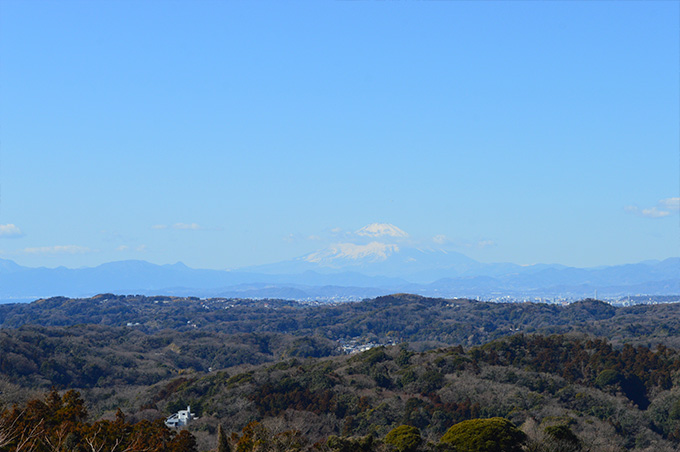 十二所果樹園 富士山