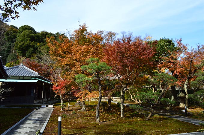 紅葉の長寿寺の観音堂