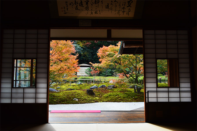 長寿寺の方丈から見る紅葉の庭