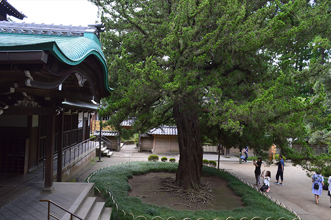 円覚寺 方丈