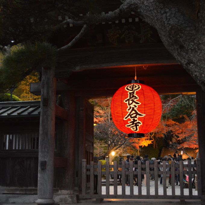 鎌倉 長谷寺 赤い提灯と山門