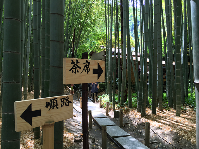 鎌倉 報国寺の竹林にある散策路
