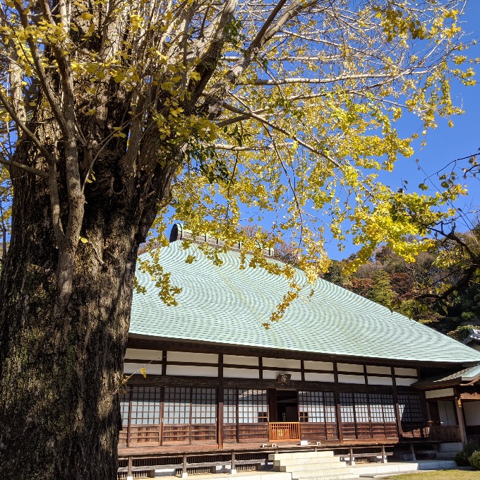 紅葉の浄妙寺