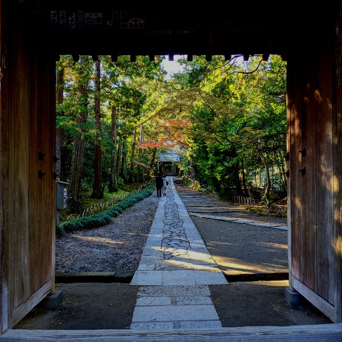 寿福寺から源氏山公園へ