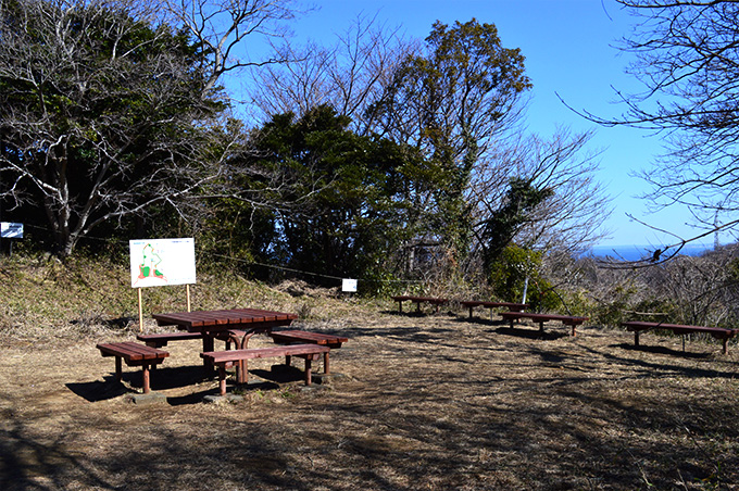 十二所果樹園 富士山