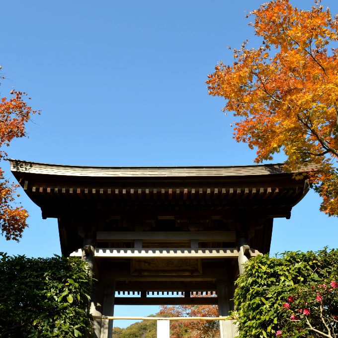 海蔵寺の山門と紅葉