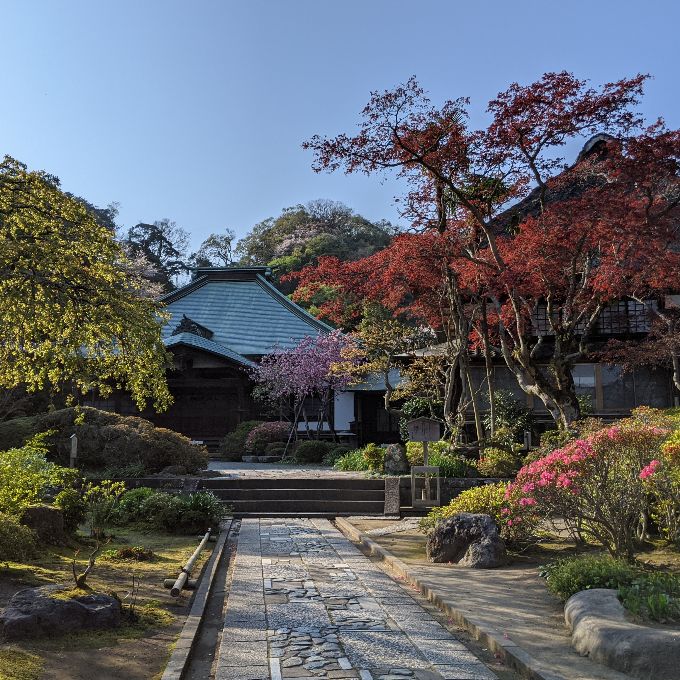 海蔵寺の色彩豊かな春の境内