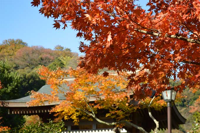 海蔵寺の山門と紅葉