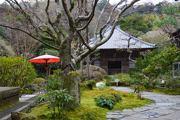 海蔵寺の庭と赤い傘