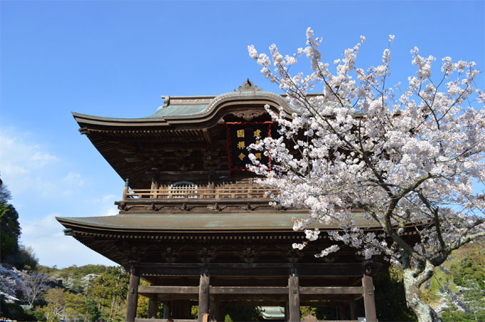 鎌倉の禅寺 建長寺