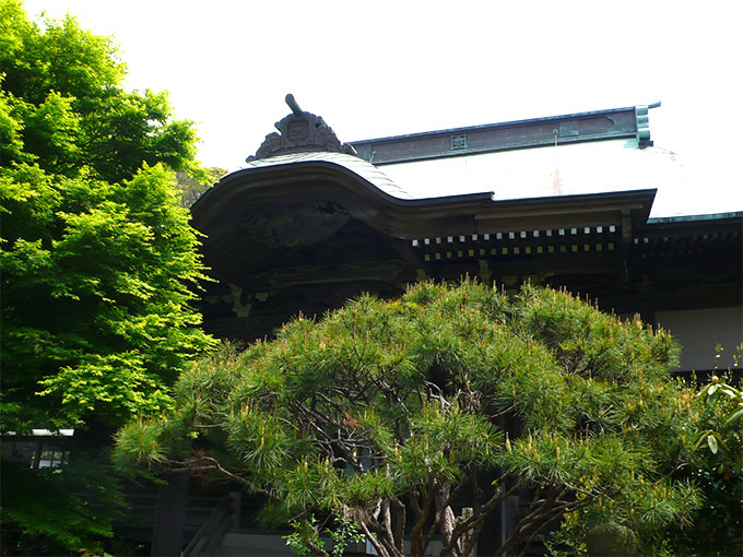鎌倉の苔の寺。妙法寺