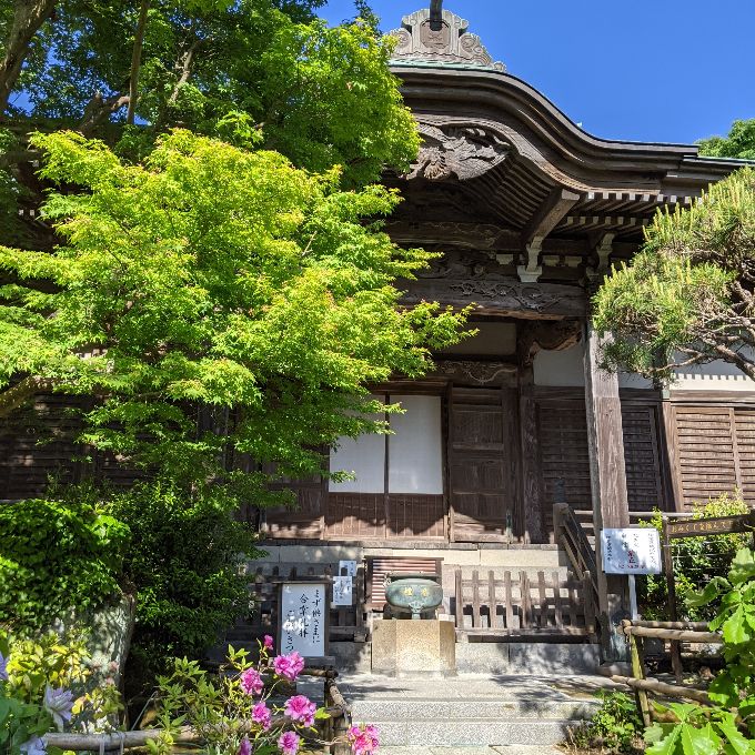 鎌倉の苔の寺。妙法寺