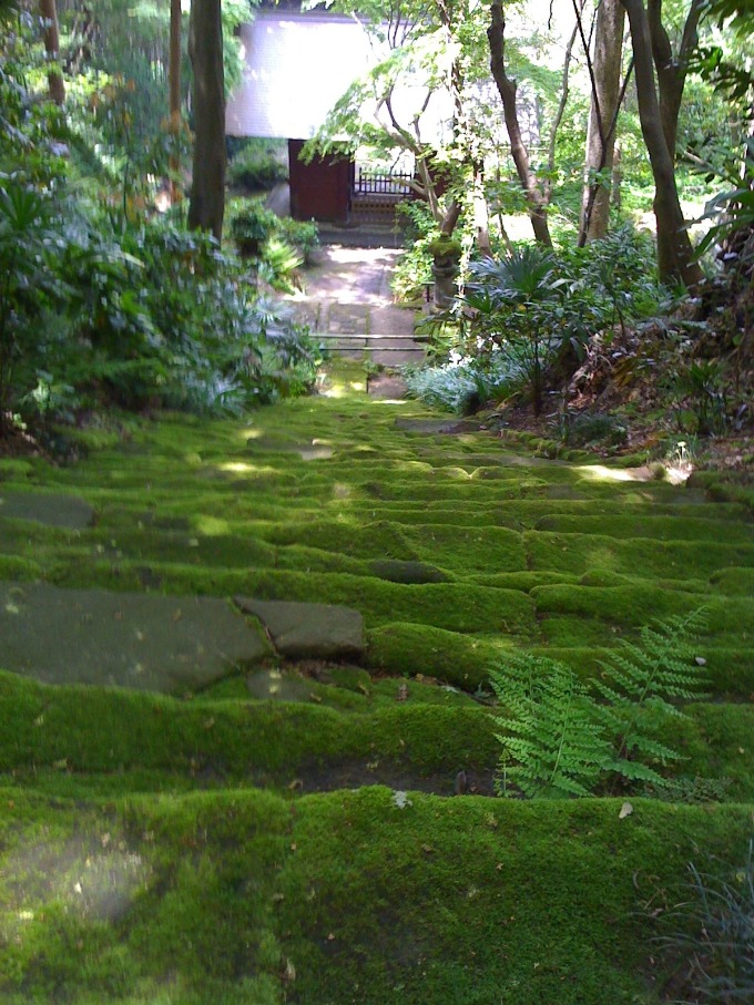 妙法寺の「苔の階段」