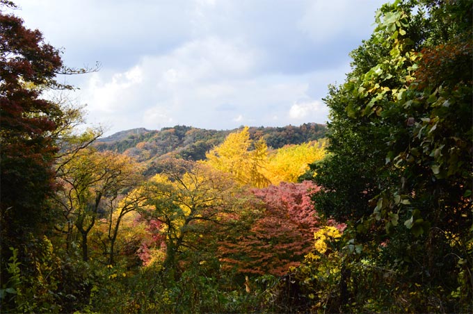 鎌倉の隠れた紅葉の名所 獅子舞 鎌倉トリップ 日帰りで初夏の鎌倉へ 鎌倉トリップ 日帰りで初夏の鎌倉へ