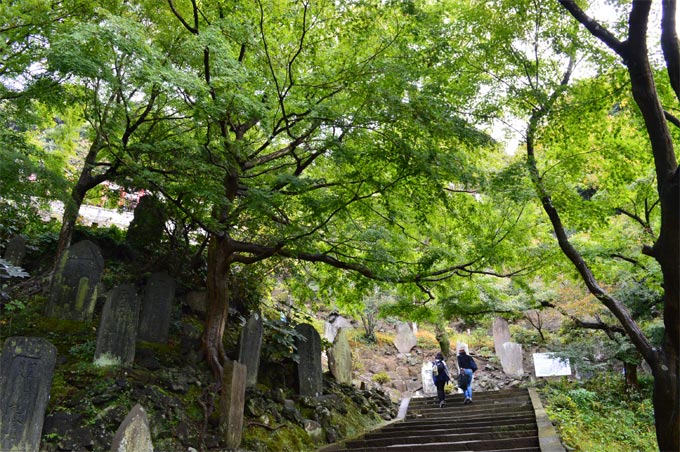 天園ハイキングコースへ向かう建長寺の半僧坊道の急な石段