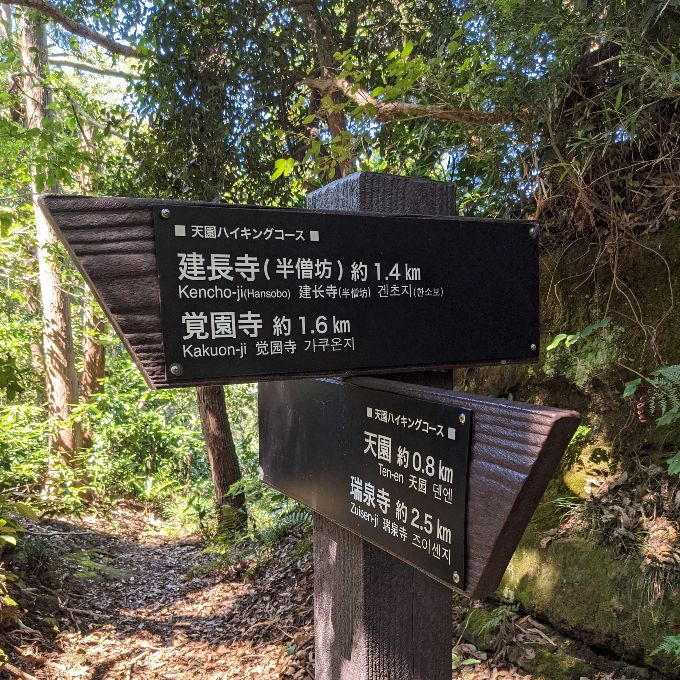 天園ハイキングコース