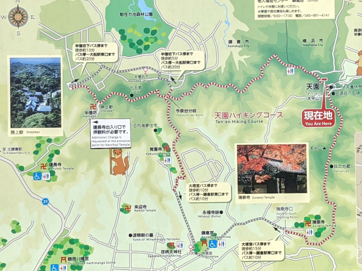 天園ハイキングコース地図