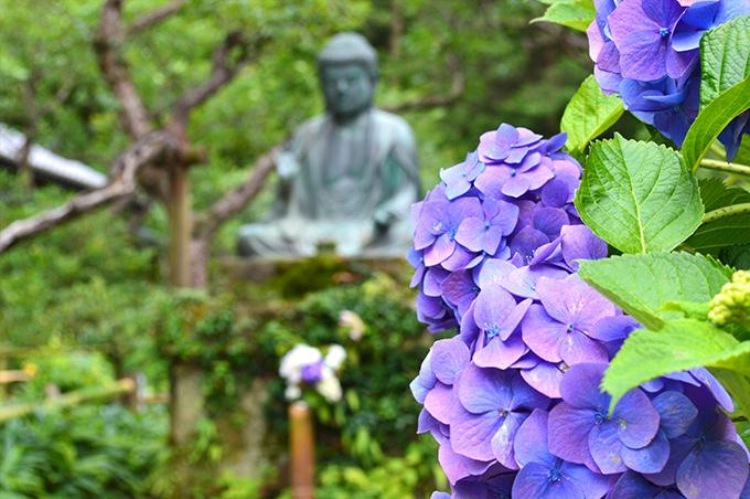 北鎌倉の花の寺 東慶寺