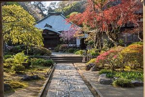 海蔵寺。美しき鎌倉奥座敷の花の寺