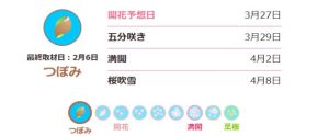 2025年 鎌倉のさくら開花情報