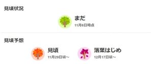 ウェザーニュース2025年紅葉見頃予想　鎌倉 紅葉